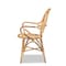 Baxton Studio Sheraton Modern and Contemporary Natural Finished Rattan Armchair 185-11871-Zoro - alternate 9